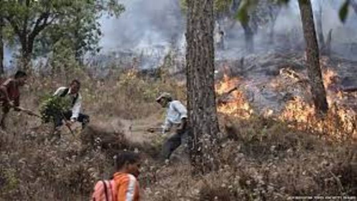 Uttarakhand forest fire